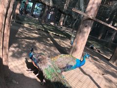 -南京金牛湖风景区