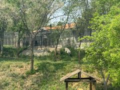 -石家庄市动物园