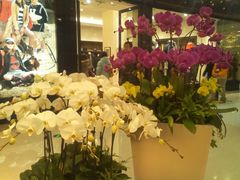 -万达广场(南京江宁店)