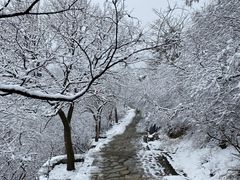 -香山公园