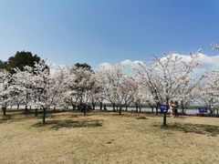 -幕燕滨江·长江观音景区