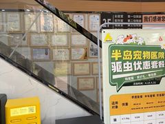 -半岛宠物医院24小时·内窥镜·牙科·碎石中心(府城大道店)