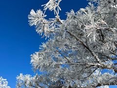 -中旅松花湖滑雪场