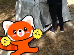 -九科绿洲