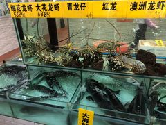 水产区-寻味顺德·南记酒家·传统顺德菜·鱼生(广源路店)