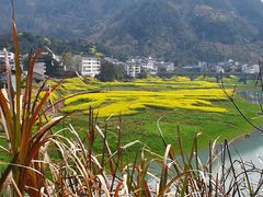 -新安江山水画廊风景区