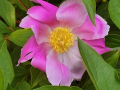 -白塘生态植物园