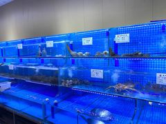 水产区-前王院•巧克力海鲜市集餐厅(万平口店)