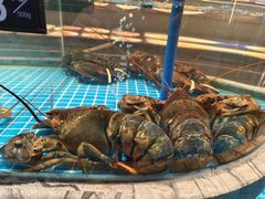 -百富源·海鲜辽菜(张士店)