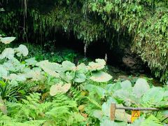 -海口火山口国家地质公园