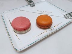 开心果马卡龙-PAUL LAFAYET 法式甜品(深圳湾万象城店)
