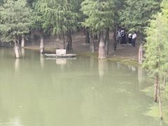 -广州市帽峰山景区