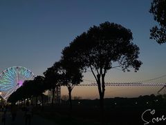 -花博汇(知音花月夜)