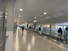-上海浦东国际机场-T2航站楼
