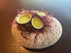 -深圳文华东方酒店·OPUS 388·精致法餐
