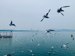 -蠡湖大桥公园