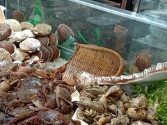 -大连富丽华大酒店