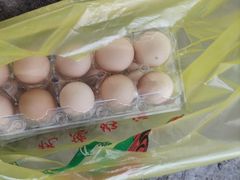 -马陆小张葡萄园农家乐