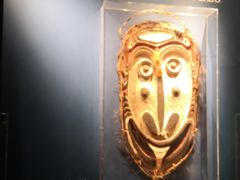 -美国自然历史博物馆