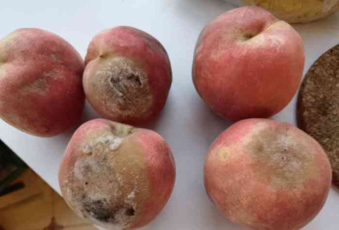 在她家买了桃,没仔细看就拿走了,到家发现坏了一个,找她索赔了.