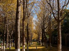 -东钱湖旅游度假区