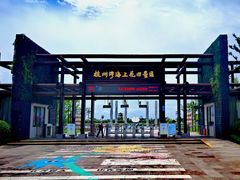 -杭州湾海上花田景区