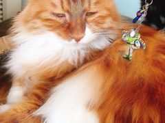 -平行世界·猫咖(首经贸店)