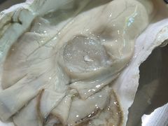 湛江生蚝-阿鸡鱼庄·顺德鲜蒸小炒(亚运村店)