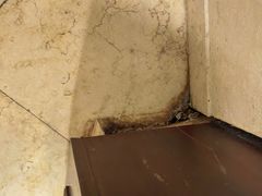 -罗浮山嘉宝田森林温泉度假酒店