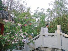 -龙凤山庄影视度假村