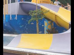 -重庆海昌加勒比海水世界