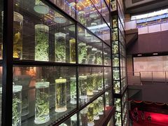 -广东中医药博物馆