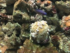 -福州罗源湾海洋世界旅游区