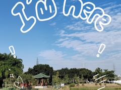 -王借岗森林公园