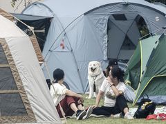 -大屏嶂森林公园