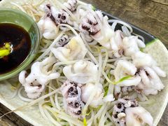 芥末海菊花-贞姨美食·老字号海鲜大排档