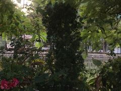 -奈雪的茶(大梅沙8号仓店)