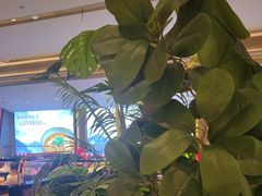 -辛香汇·现炒川菜(城北万象城店)