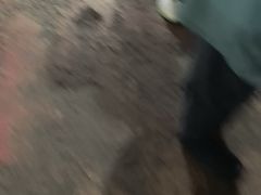 -张醪糟
