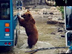 -北京野生动物园