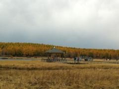 -塞罕坝国家级自然保护区