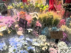 -越秀西湖花市(广州城市广场花卉店)