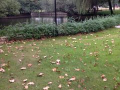 龙之梦万丽酒店-上海龙之梦万丽酒店