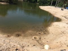 -佛山祈福仙湖酒店