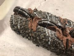 -奈雪的茶(国金中心店)