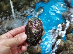 -正能量1号海鲜加工店