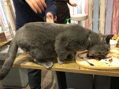 -小时光咖啡馆(开森度假森林店)