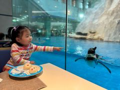 -帝企鹅自助餐厅•儿童岛•真企鹅(长隆企鹅酒店)