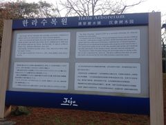 -汉拿树木园