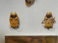 -上海昆虫博物馆